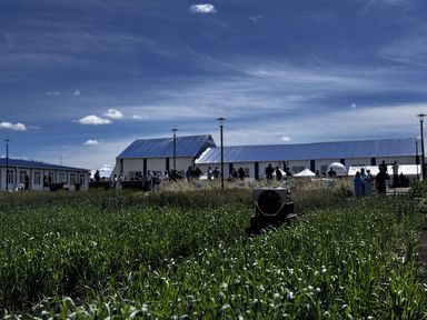 Образование в тандеме с работодателем: специалисты АПК обсудили перспективы подготовки кадров для сельского хозяйства