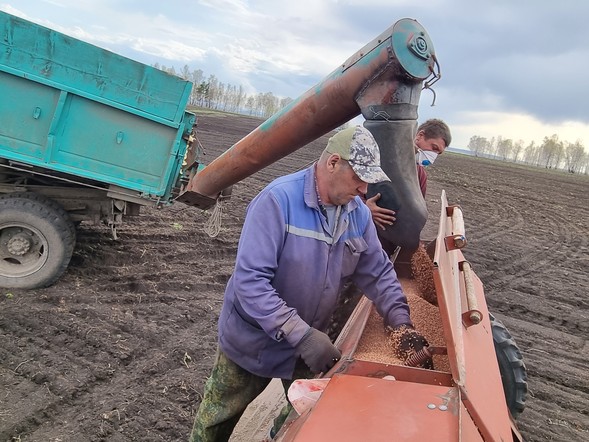 Программа "Знак земли": подготовка к посевной в крае идёт по плану