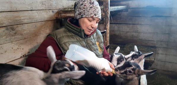 В аграрном производстве, пищевой и перерабатывающей промышленности края заняты почти 30 тысяч человек