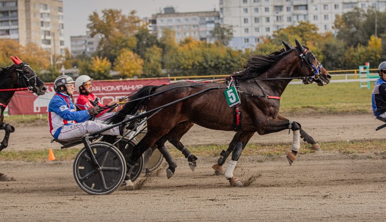 Команда Красноярского края – в абсолютных чемпионах Большого Сибирского круга – 2025