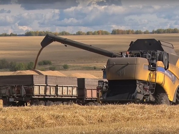 Уборочная в разгаре: смогут ли аграрии взять рекордный урожай?