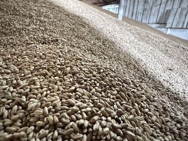 Приглашаем аграриев края на обучающее мероприятие в рамках «Дня урожая — 2025»