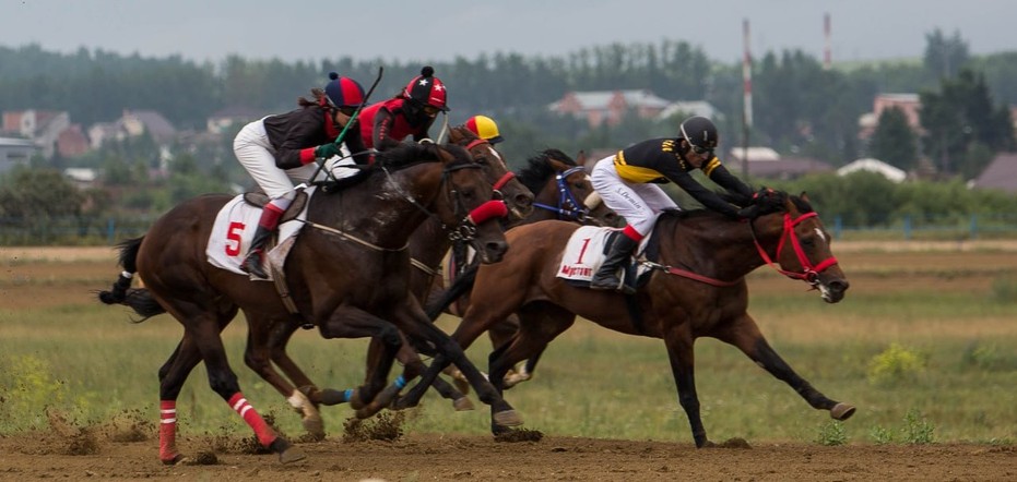В Емельяново выберут лучшую сельскую команду конников Красноярского края