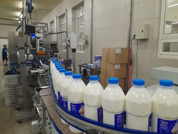 Предприятиям агропромышленного комплекса Красноярского края возместят часть затрат на переработку молока