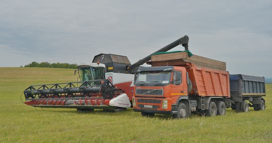 Хлеборобы Красноярского края намолотили два миллиона тонн зерна