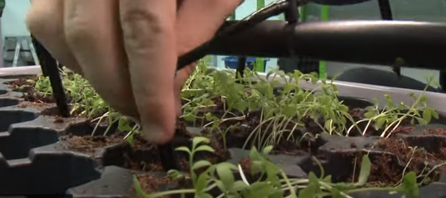 Программа "О хлебе насущном" (от 11.12.2021)