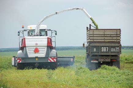 Аграрии Красноярского края на четверть выполнили план заготовки кормов