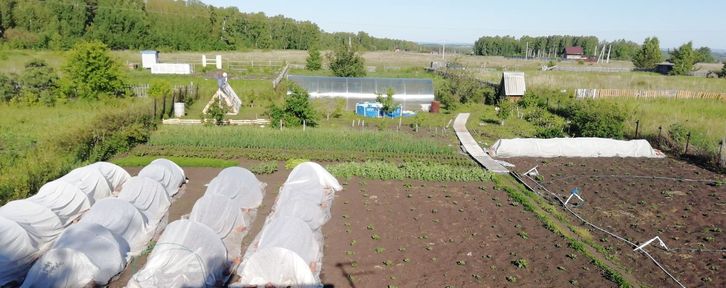 Садоводы края получат дополнительно около 39 миллионов рублей