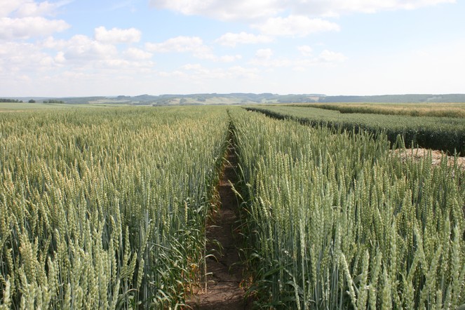 Программа "Знак земли" (18.08.2022)