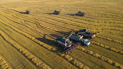 Хлеборобы Красноярского края собрали первый миллион тонн зерна