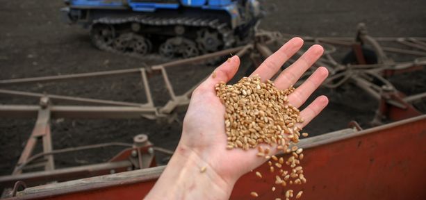 Из Красноярского края за рубеж отгружено 433 тысячи тонн продукции АПК