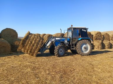Поддержка на старте: за пять лет гранты на открытие малого агробизнеса получили 77 фермеров Красноярского края