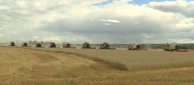 Программа "О хлебе насущном": трудности с реализацией зерна и гидропонные установки для зелени