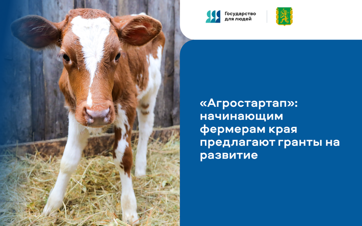 «Агростартап»: начинающим фермерам предлагают гранты на развитие