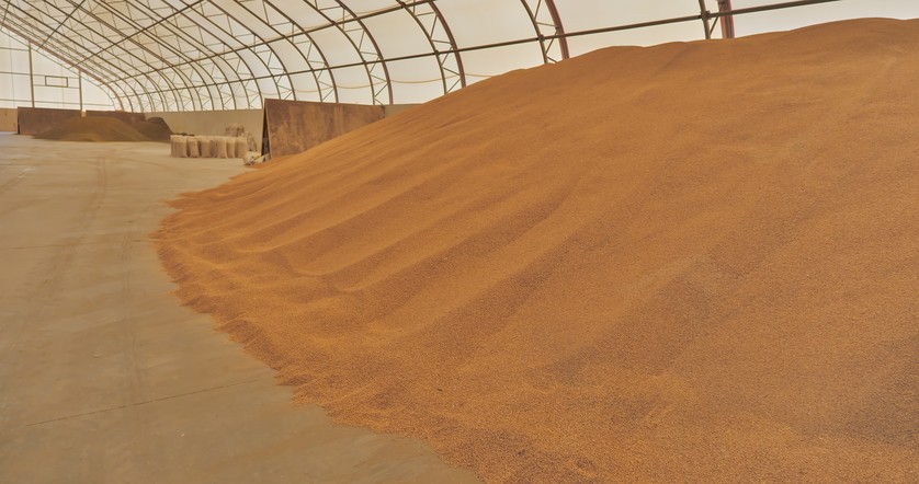 Программа "Знак земли": краевые аграрии собрали 2,5 млн тонн зерна