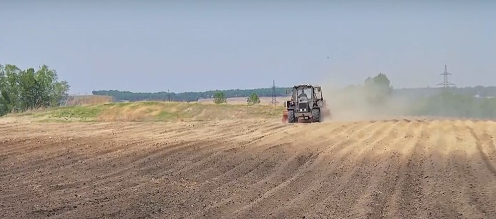 Программа "О хлебе насущном": господдержка сельчан и изучение агротехнологий в колледжах