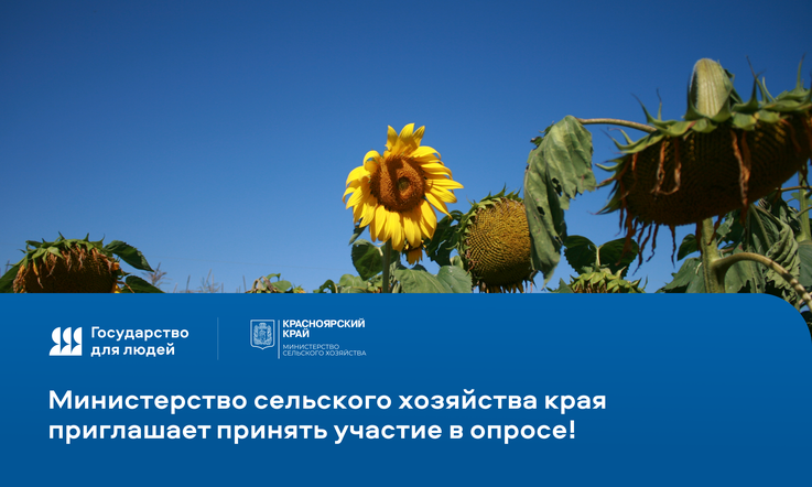 Приглашаем принять участие в опросе!