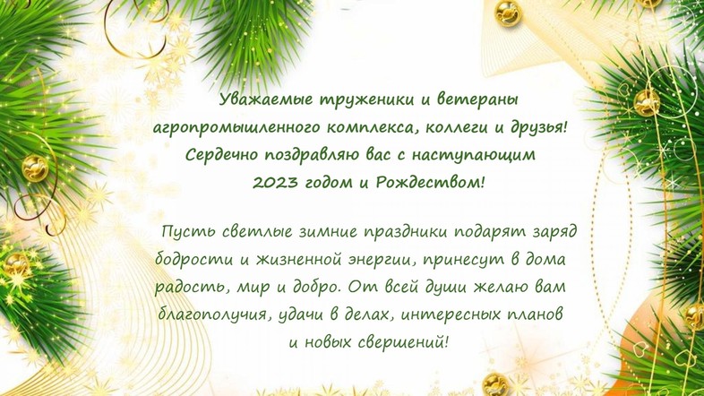 Новогоднее поздравление министра сельского хозяйства и торговли края Леонида Шорохова