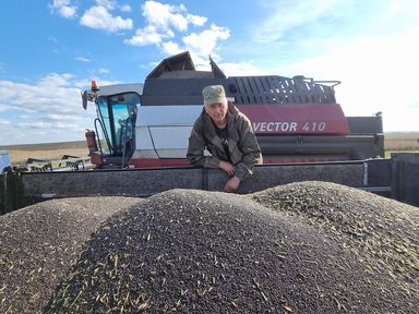 Аграрии Красноярского края получат господдержку на производство масличных культур