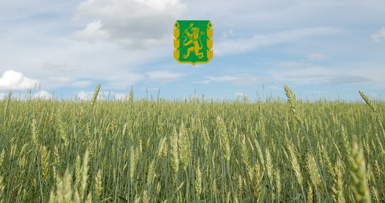 Уярскому сельскохозяйственному техникуму 85 лет!