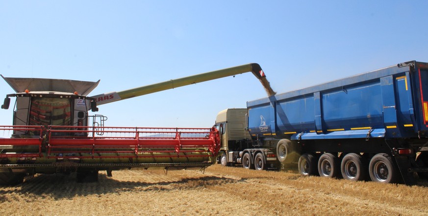 Аграрии Красноярского края собрали более полумиллиона тонн зерна