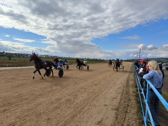 В Красноярском крае выбрали лучших сельских конников