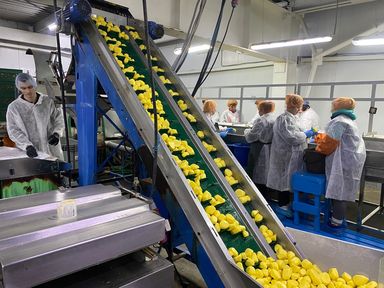 Школьники Большемуртинского района посетили цеха одного из крупнейших агрохолдингов Сибири