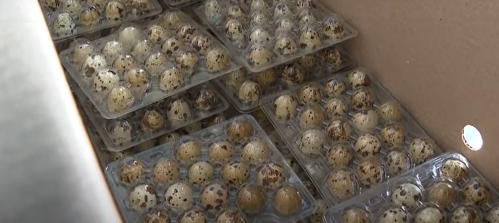 Программа "О хлебе насущном" (22.01.2022)