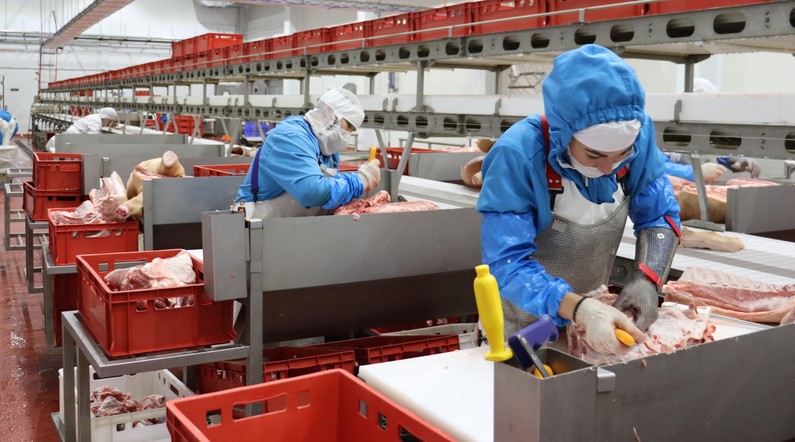 На свинокомплексе Красноярского края запустили линию вакуумной упаковки