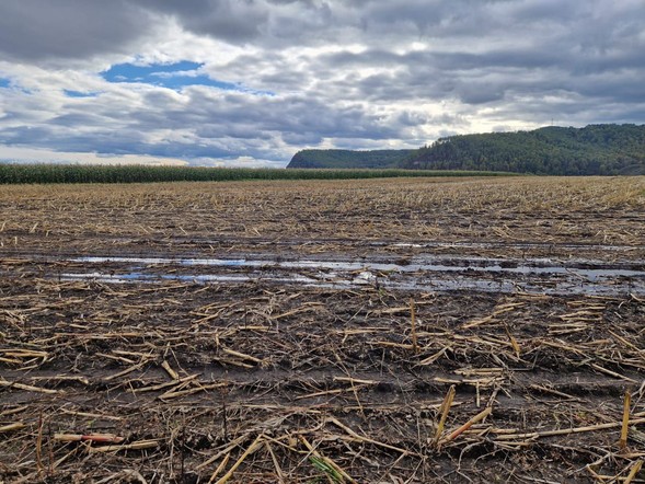 Программа "Знак земли": о ходе уборочной в крае и предварительных результатах