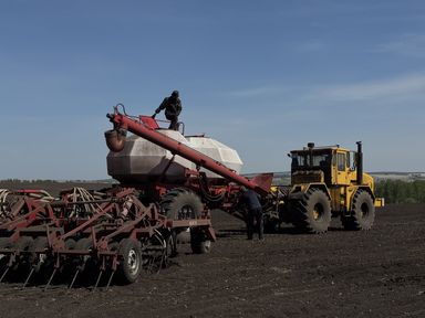Аграриям Красноярского края расскажут об изменениях при предоставлении господдержки в 2026 году
