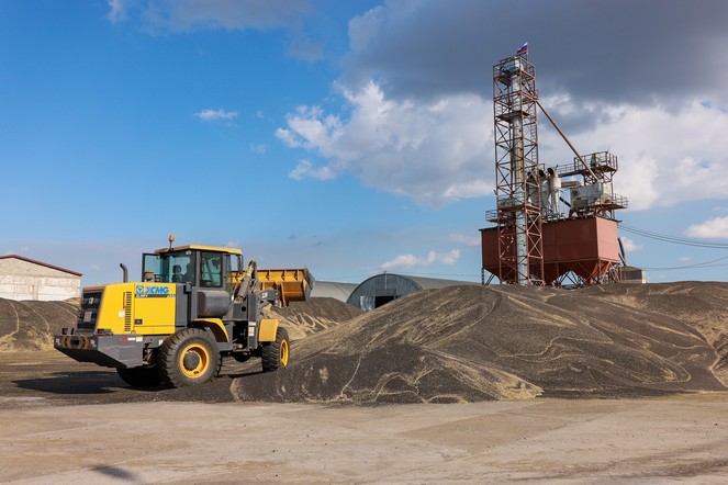 Производители масличных культур в крае получат 51,5 миллиона рублей