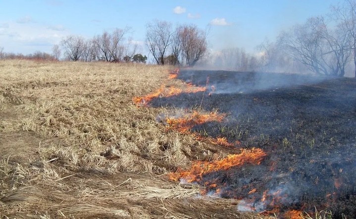 Министерство сельского хозяйства края напоминает о необходимости соблюдения мер пожарной безопасности