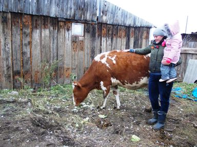 В Красноярском крае многодетные семьи получат дополнительную поддержку на развитие подсобных хозяйств