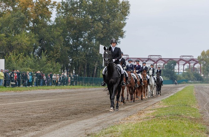 Захватывающее зрелище для любителей конноспортивных состязаний в Красноярске!