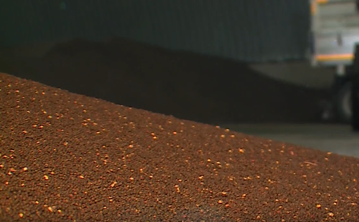 Программа «О хлебе насущном»: Рапсовая перезагрузка