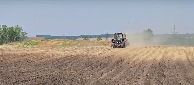 Программа "О хлебе насущном": господдержка сельчан и изучение агротехнологий в колледжах