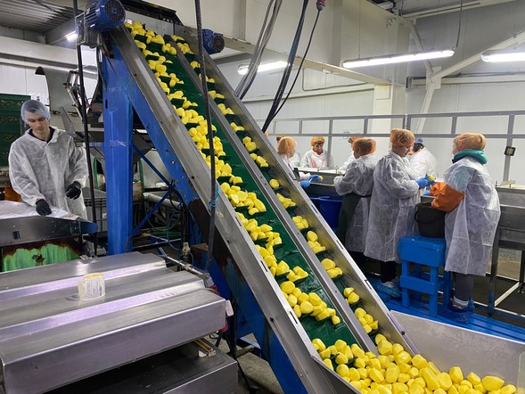 Школьники Большемуртинского района посетили цеха одного из крупнейших агрохолдингов Сибири